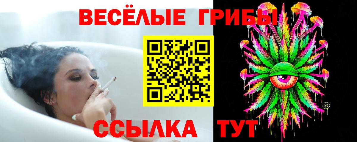 Санкт-Петербург  Псилоцибиновые грибы мицелий  Вход с VPN 